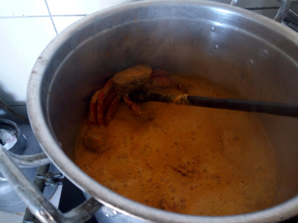 Treiler Do Cajueirinho-7